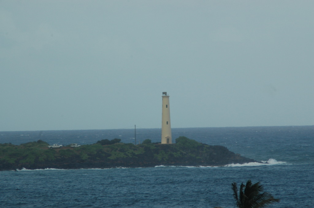 DSC_2784